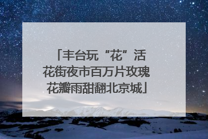 丰台玩“花”活 花街夜市百万片玫瑰花瓣雨甜翻北京城