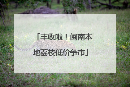 丰收啦！闽南本地荔枝低价争市