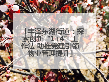 丰泽东湖街道：探索创新“1+4”工作法 助推党建引领物业管理提升