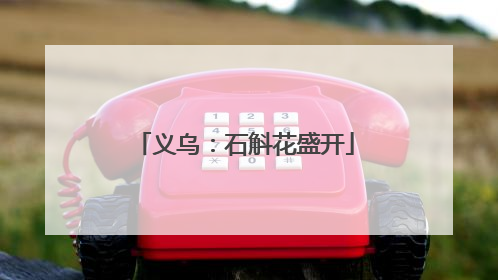 义乌：石斛花盛开