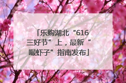 乐购湖北“616三好节”上，最新“嘬虾子”指南发布