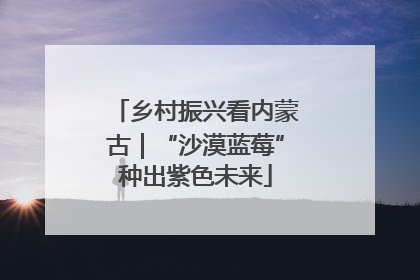 乡村振兴看内蒙古｜“沙漠蓝莓”种出紫色未来