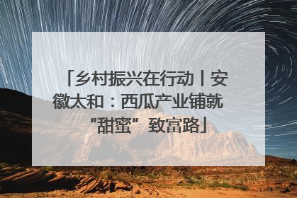 乡村振兴在行动丨安徽太和：西瓜产业铺就“甜蜜”致富路