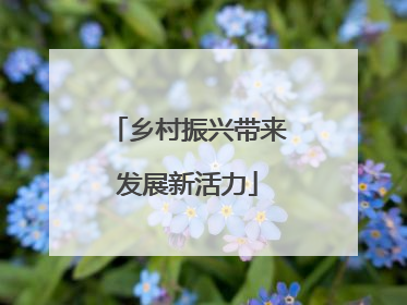 乡村振兴带来发展新活力