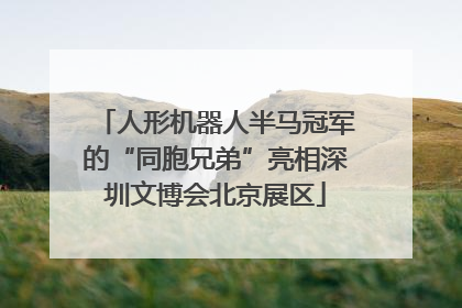 人形机器人半马冠军的“同胞兄弟”亮相深圳文博会北京展区