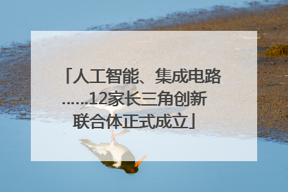 人工智能、集成电路……12家长三角创新联合体正式成立