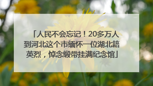 人民不会忘记！20多万人到河北这个市缅怀一位湖北籍英烈，悼念缎带挂满纪念馆