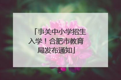 事关中小学招生入学！合肥市教育局发布通知