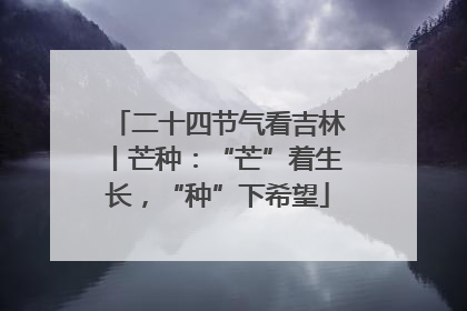 二十四节气看吉林丨芒种：“芒”着生长，“种”下希望