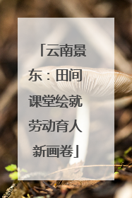 云南景东：田间课堂绘就劳动育人新画卷