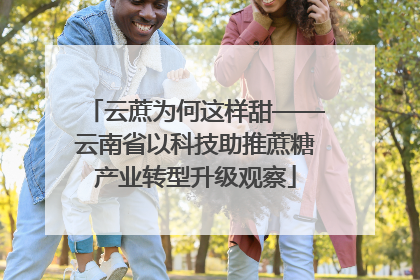 云蔗为何这样甜——云南省以科技助推蔗糖产业转型升级观察