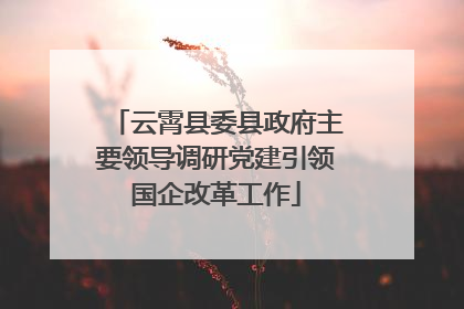 云霄县委县政府主要领导调研党建引领国企改革工作