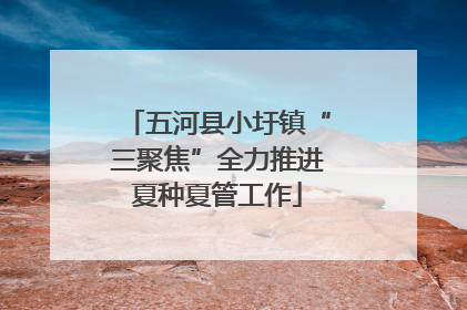 五河县小圩镇“三聚焦”全力推进夏种夏管工作