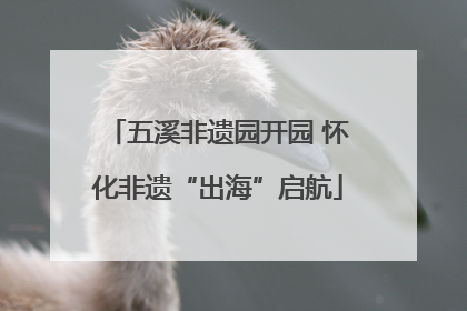 五溪非遗园开园 怀化非遗“出海”启航