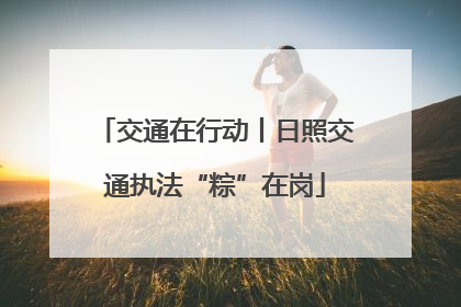 交通在行动丨日照交通执法“粽”在岗