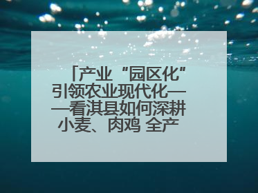 产业“园区化”引领农业现代化——看淇县如何深耕小麦、肉鸡 全产业链打造现代农业产业园