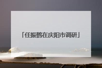 任振鹤在庆阳市调研