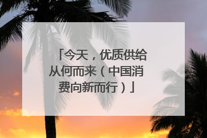 今天，优质供给从何而来（中国消费向新而行）