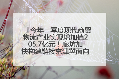 今年一季度现代商贸物流产业实现增加值205.7亿元！廊坊加快构建链接京津冀面向全世界的物流通道