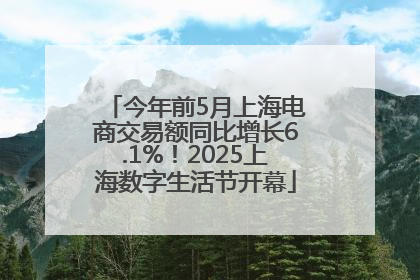 今年前5月上海电商交易额同比增长6.1%！2025上海数字生活节开幕