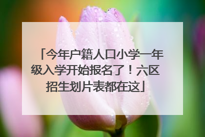 今年户籍人口小学一年级入学开始报名了！六区招生划片表都在这