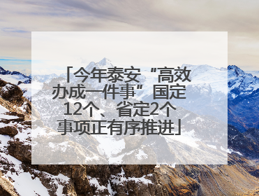 今年泰安“高效办成一件事”国定12个、省定2个事项正有序推进