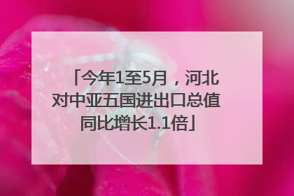 今年1至5月，河北对中亚五国进出口总值同比增长1.1倍