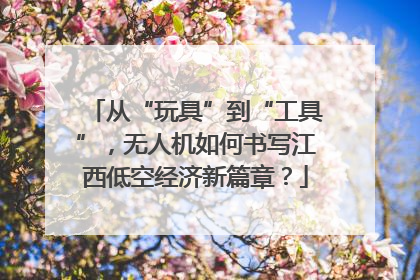从“玩具”到“工具”，无人机如何书写江西低空经济新篇章？