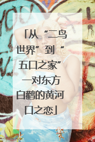 从“二鸟世界”到“五口之家” 一对东方白鹳的黄河口之恋