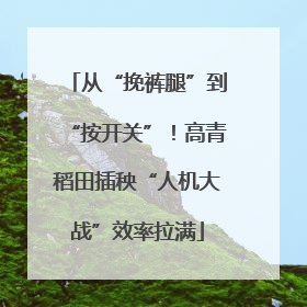 从“挽裤腿”到“按开关”！高青稻田插秧“人机大战”效率拉满