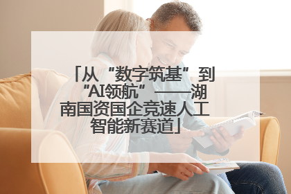 从“数字筑基”到“AI领航”——湖南国资国企竞速人工智能新赛道