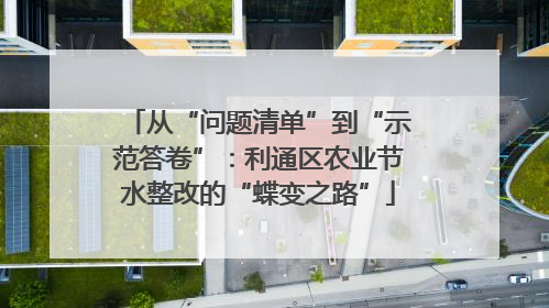 从“问题清单”到“示范答卷”：利通区农业节水整改的“蝶变之路”