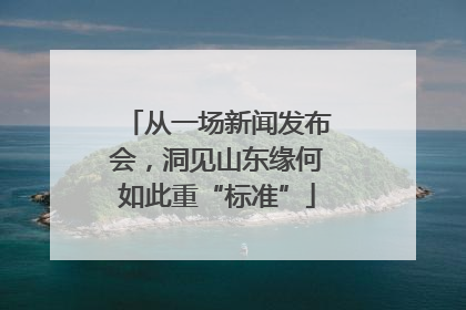 从一场新闻发布会，洞见山东缘何如此重“标准”