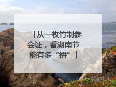 从一枚竹制参会证，看湖南节能有多“拼”