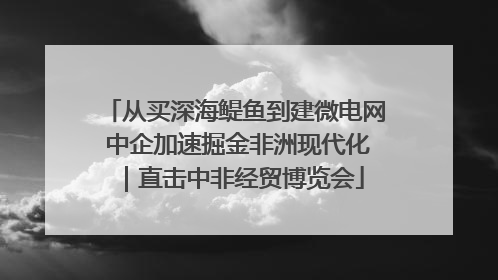 从买深海鳀鱼到建微电网 中企加速掘金非洲现代化｜直击中非经贸博览会