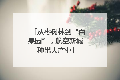 从枣树林到“百果园”，航空新城种出大产业