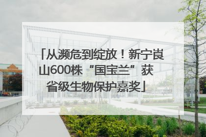 从濒危到绽放！新宁崀山600株“国宝兰”获省级生物保护嘉奖