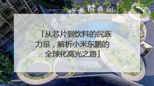 从芯片到饮料的民族力量，解析小米东鹏的全球化高光之路