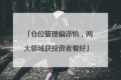 仓位管理偏谨慎，两大领域获投资者看好