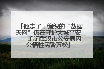 他走了，编织的“数据天网”仍在守护大城平安——追记武汉市公安局因公牺牲民警万松