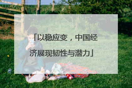 以稳应变,中国经济展现韧性与潜力