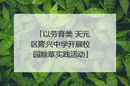 以劳育美 天元区隆兴中学开展校园除草实践活动