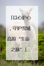 以心护心，守护雪域高原“生命之脉”