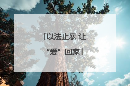 以法止暴 让“爱”回家