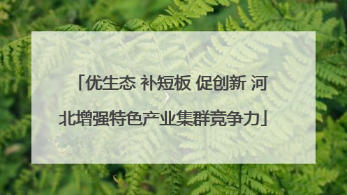 优生态 补短板 促创新 河北增强特色产业集群竞争力
