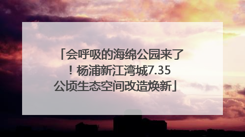 会呼吸的海绵公园来了！杨浦新江湾城7.35公顷生态空间改造焕新