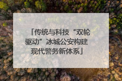 传统与科技“双轮驱动”冰城公安构建现代警务新体系