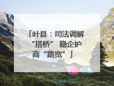 叶县：司法调解“搭桥” 稳企护商“路宽”