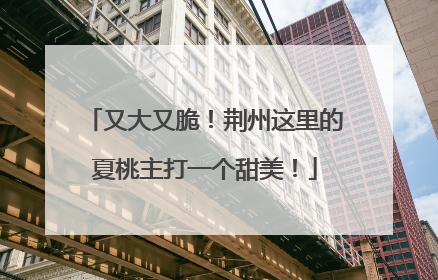 又大又脆！荆州这里的夏桃主打一个甜美！