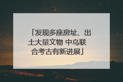 发现多座房址、出土大量文物 中乌联合考古有新进展